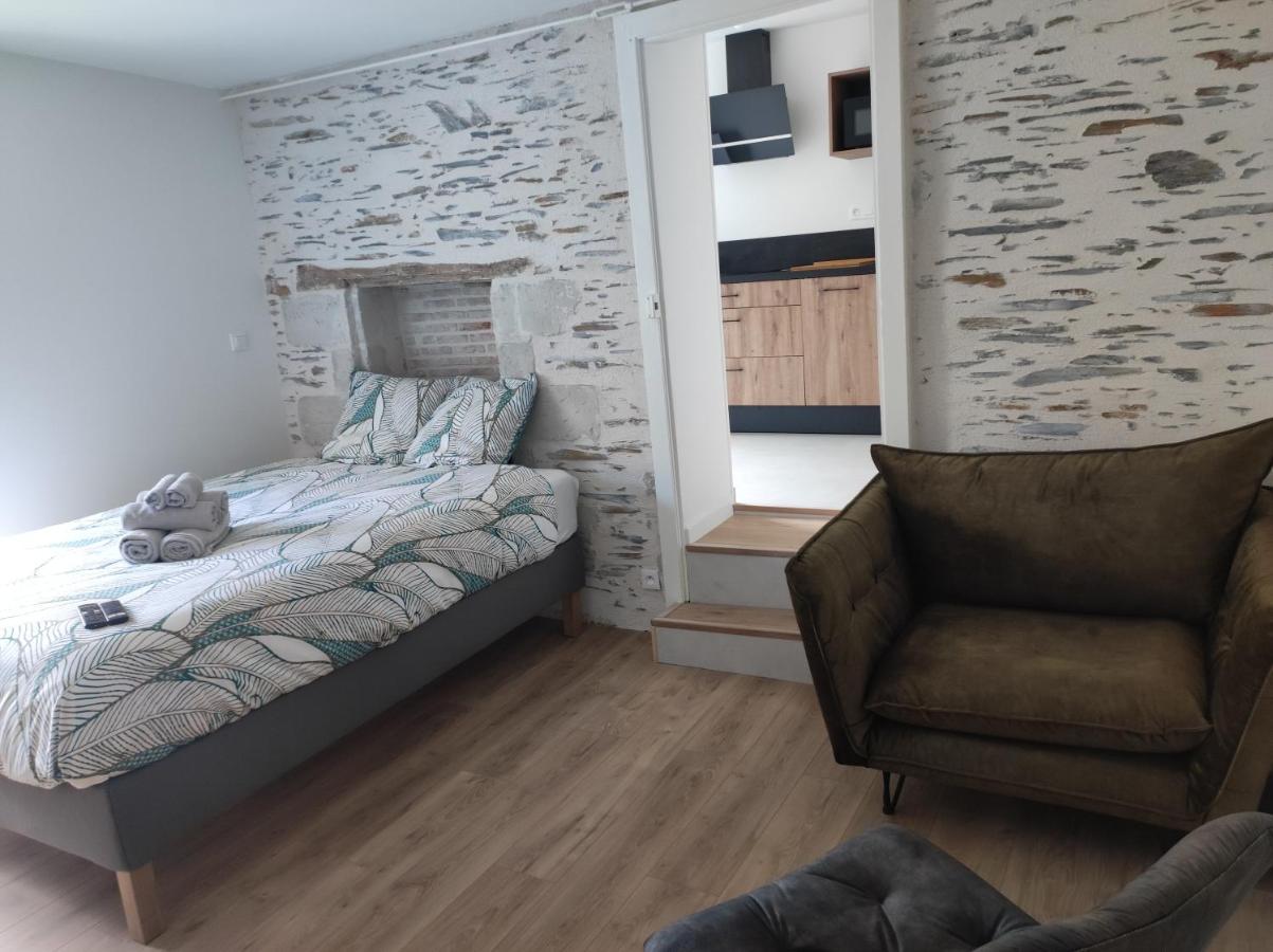 La Douce Angevine - La Perruche - Proche Centre Apartment *
