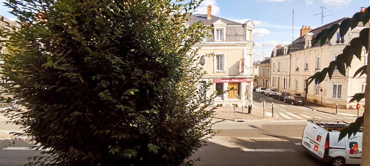 La Douce Angevine - La Perruche - Proche Centre *